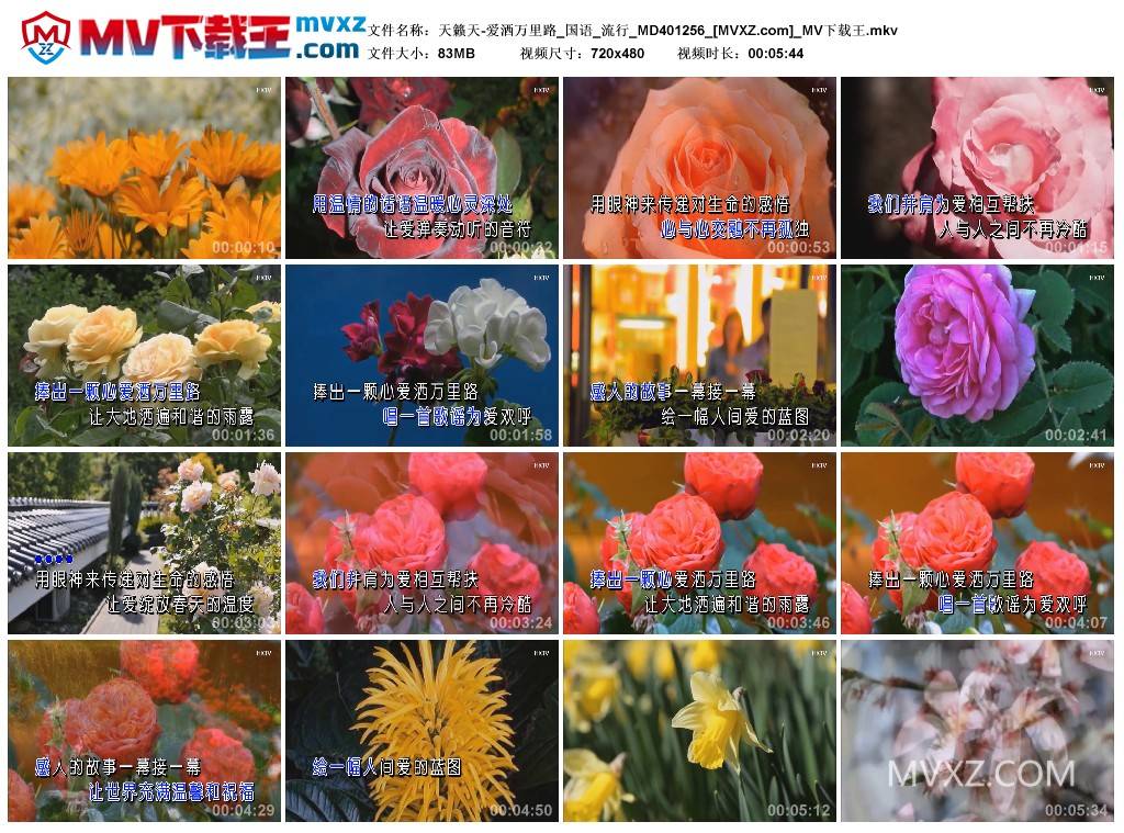 天籁天-爱洒万里路_国语_流行_MD401256